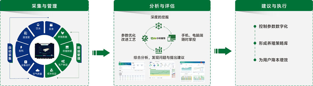 6539fe06a7719.jpg step.jpg